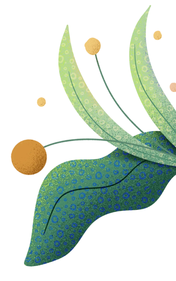 Planta der ilustracion