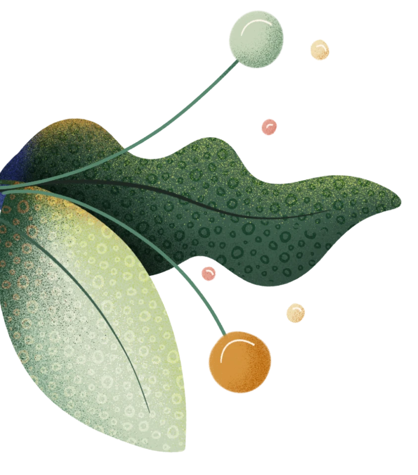 Planta izq ilustracion