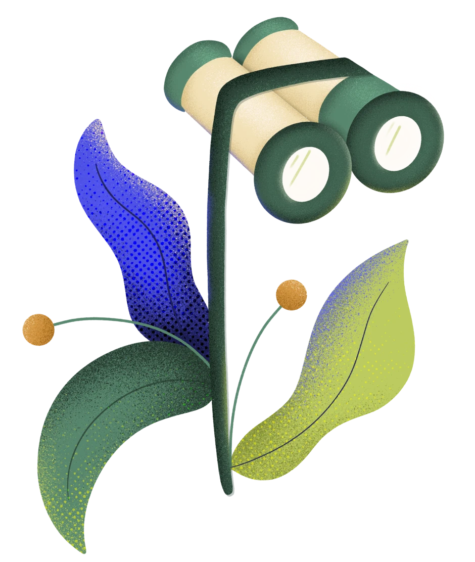 diseño estratégico de marca - estudio pirulino